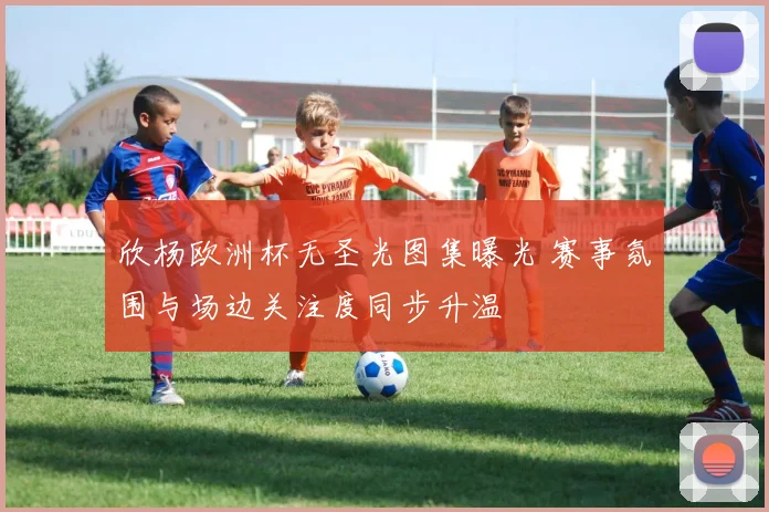 欣杨欧洲杯无圣光图集曝光 赛事氛围与场边关注度同步升温