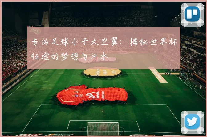 专访足球小子大空翼:揭秘世界杯征途的梦想与汗水