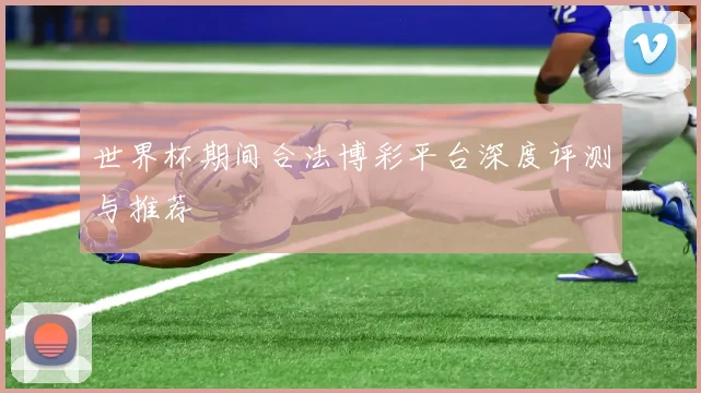 世界杯期间合法博彩平台深度评测与推荐