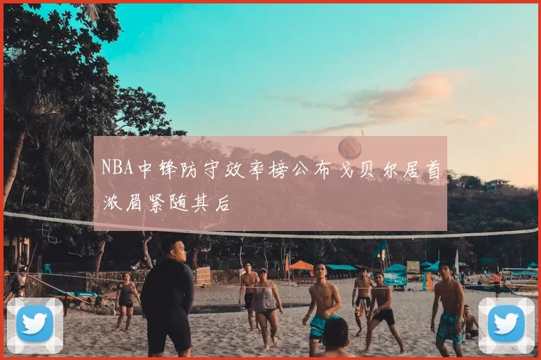NBA中锋防守效率榜公布戈贝尔居首浓眉紧随其后