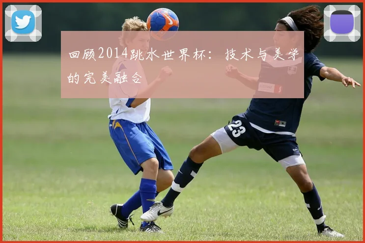 回顾2014跳水世界杯:技术与美学的完美融合