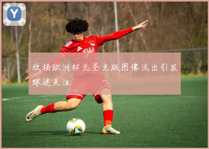 欣杨欧洲杯无圣光版图像流出引发球迷关注