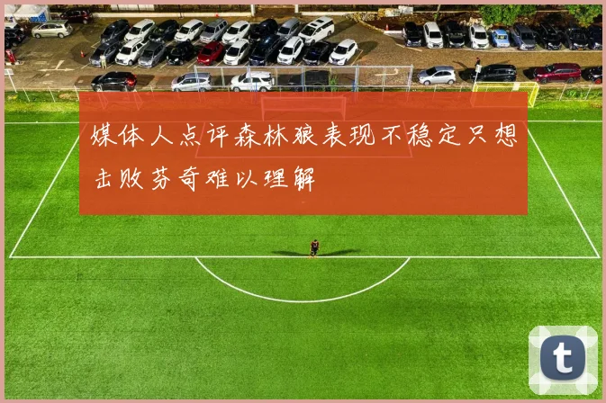 媒体人点评森林狼表现不稳定只想击败芬奇难以理解