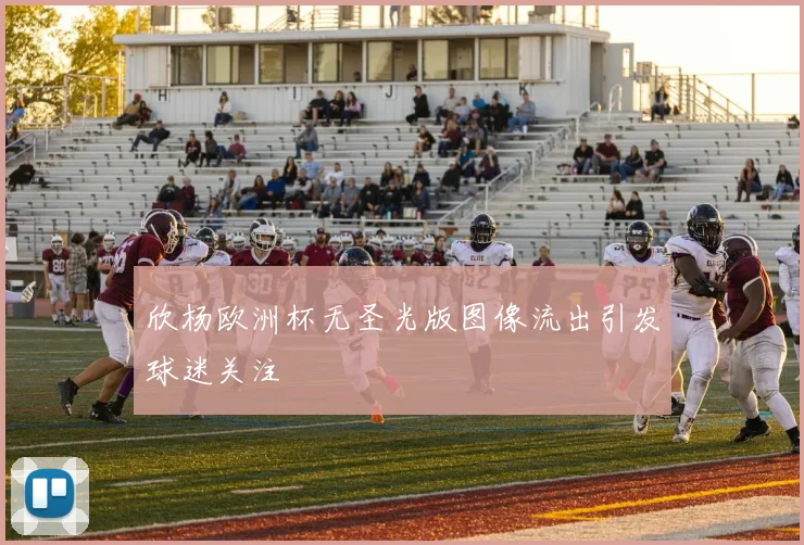 欣杨欧洲杯无圣光版图像流出引发球迷关注