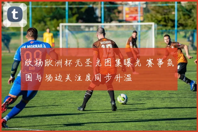 欣杨欧洲杯无圣光图集曝光 赛事氛围与场边关注度同步升温